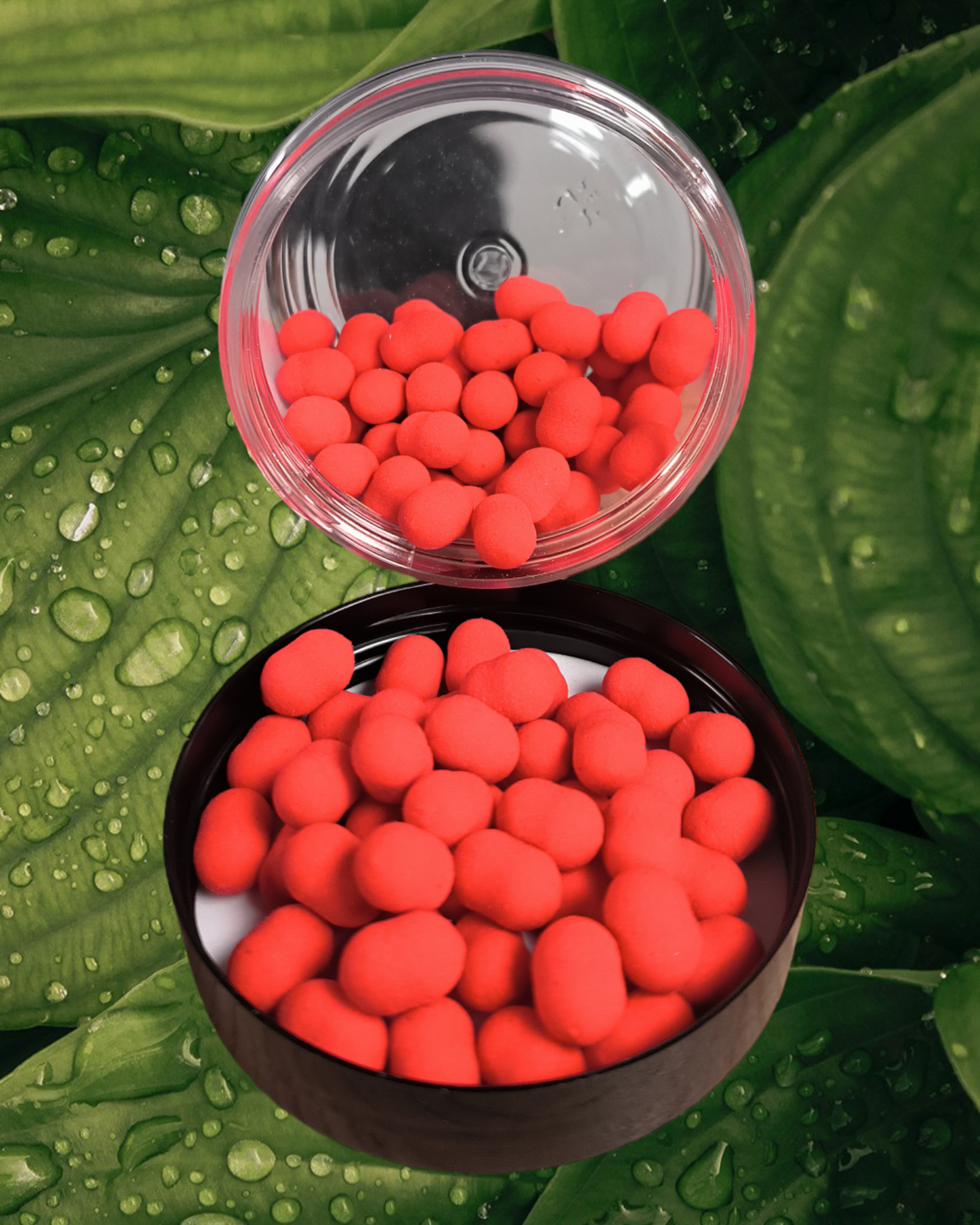 WAFTERS 11x7mm Gamme LA BOOM Épicée 50g Ultra-peche