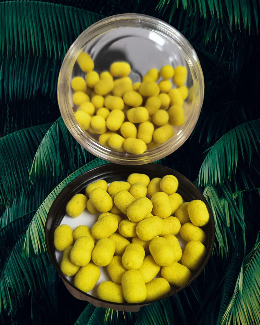 WAFTERS 11x7mm COCKTAIL 50g Ultra-peche Banane/Ananas